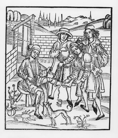 Tratando una mordedura de serpiente, de 
